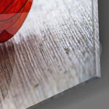 Physalis Glass Wall Art - LUXARTDECO