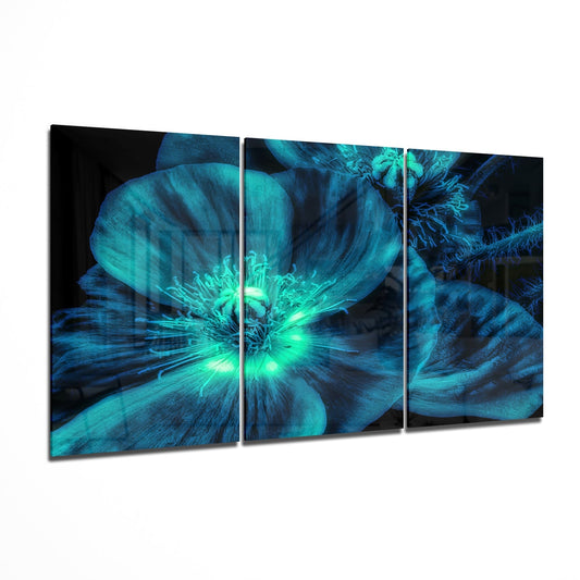 Glass Wall Art