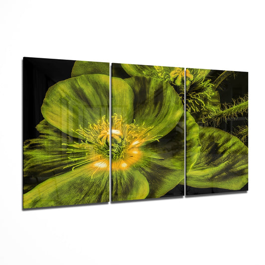 Glass Wall Art