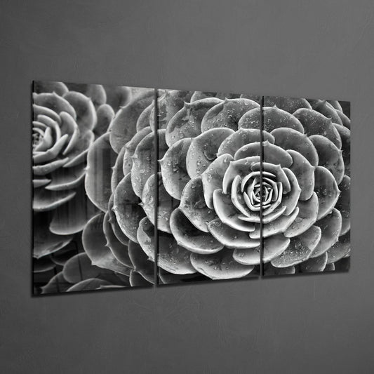 Glass Wall Art