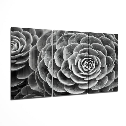 Glass Wall Art