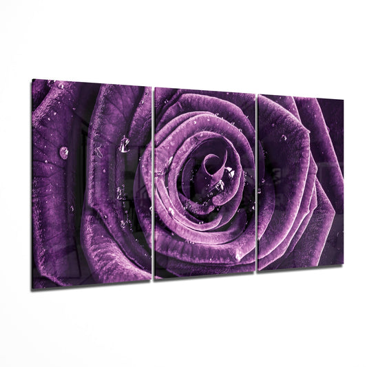 Glass Wall Art