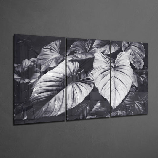 Glass Wall Art