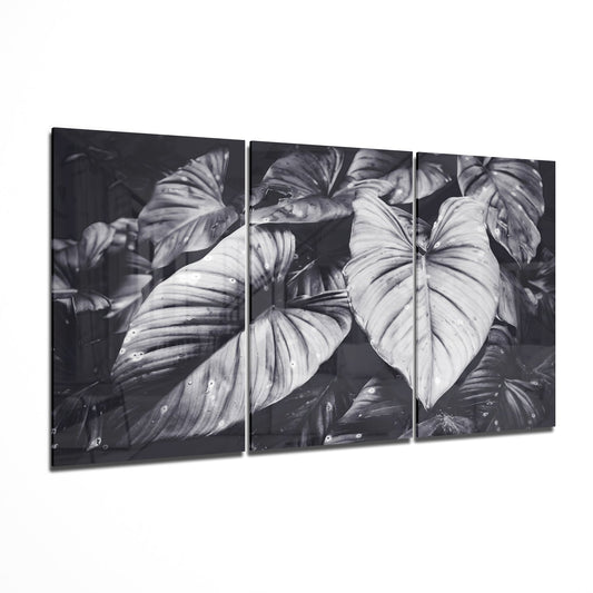 Glass Wall Art