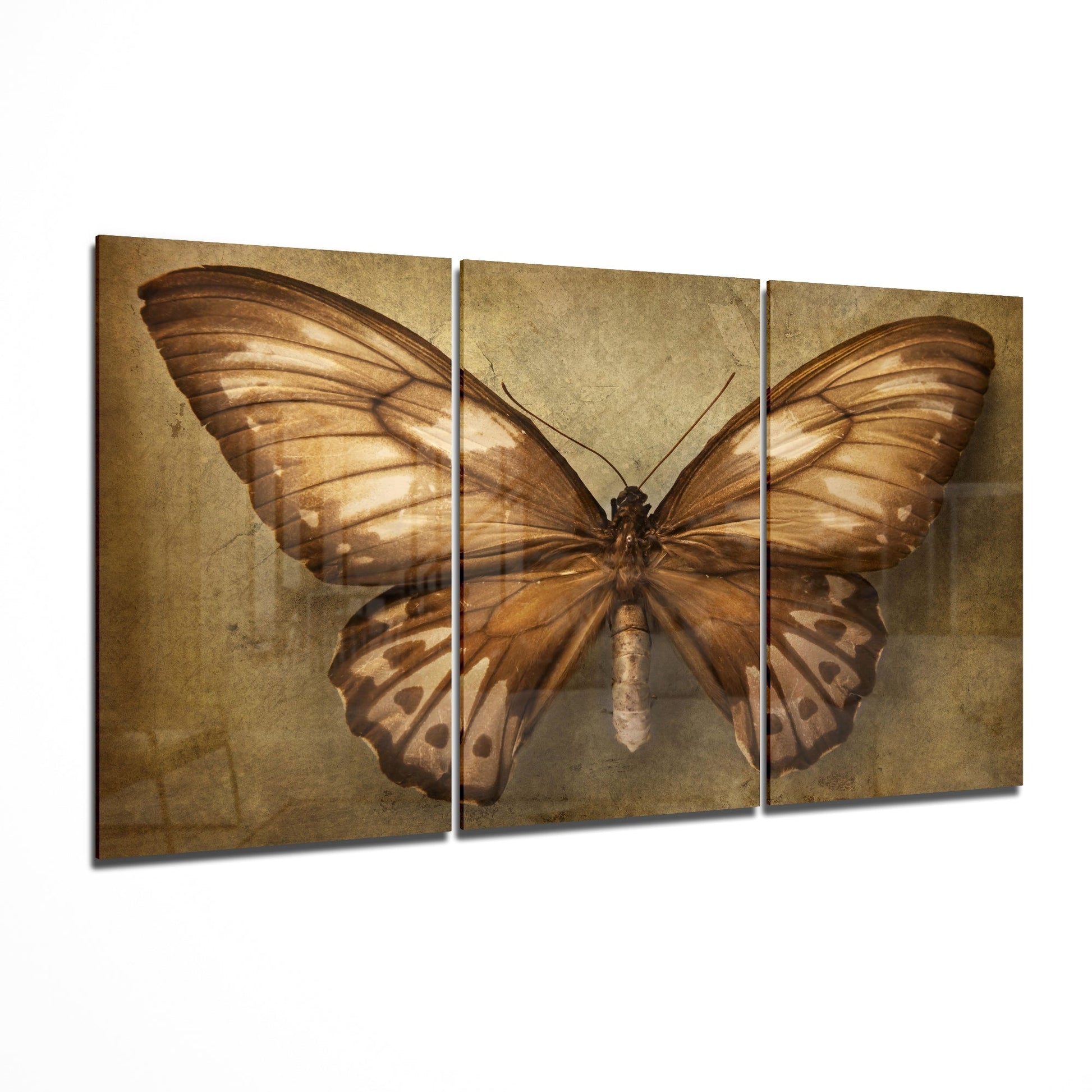 Butterfly Glass Art