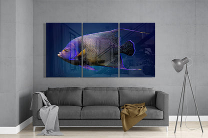 Queen Angel Fish Glass Art - LUXARTDECO