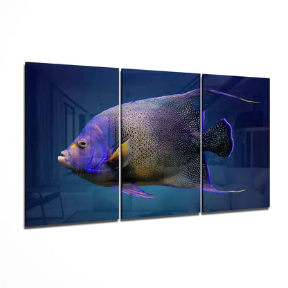 Queen Angel Fish Glass Art - LUXARTDECO