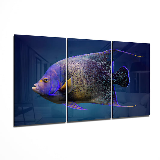 Queen Angel Fish Glass Art