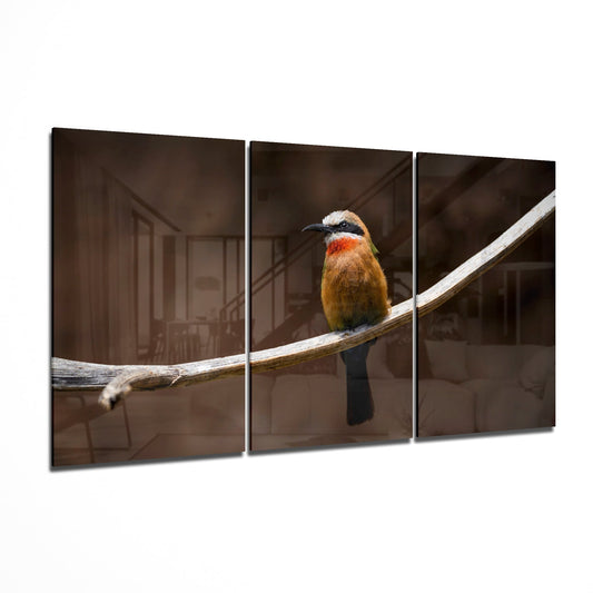 Bee-eater Glass Art