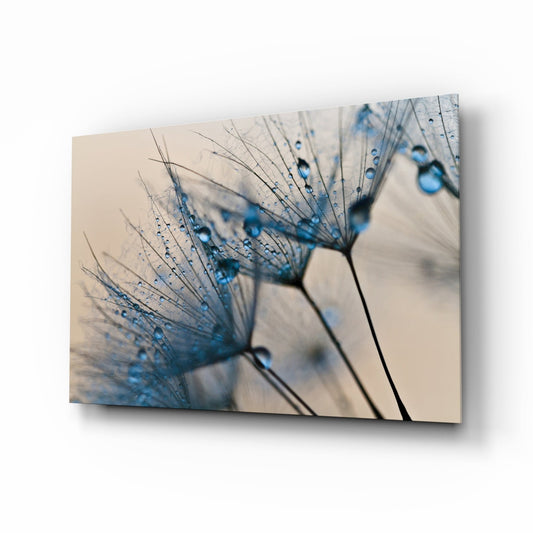 Glass Wall Art