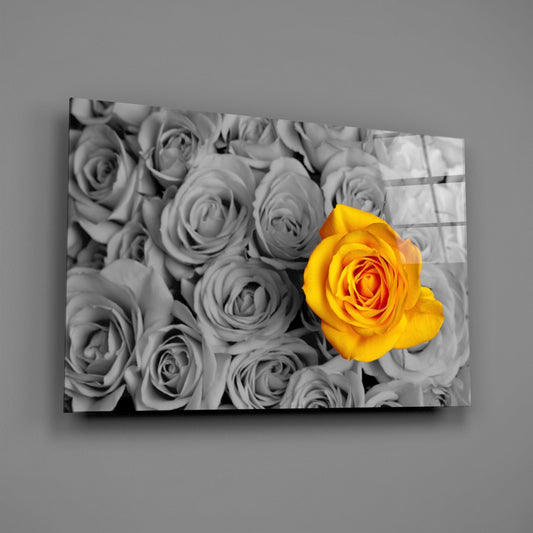 Glass Wall Art