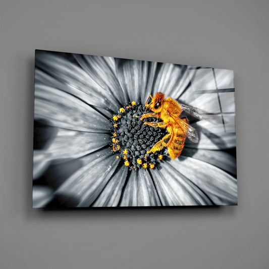 Glass Wall Art