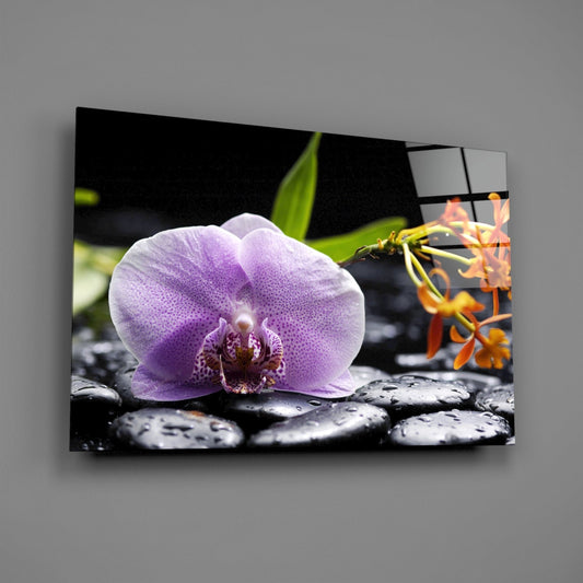 Glass Wall Art