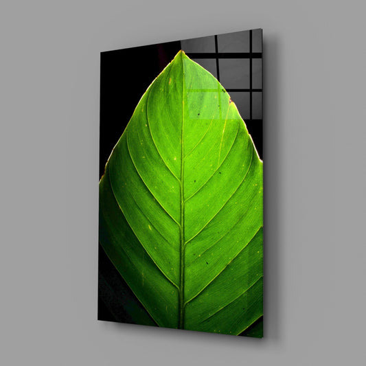Glass Wall Art