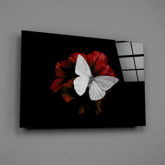 Glass Wall Art