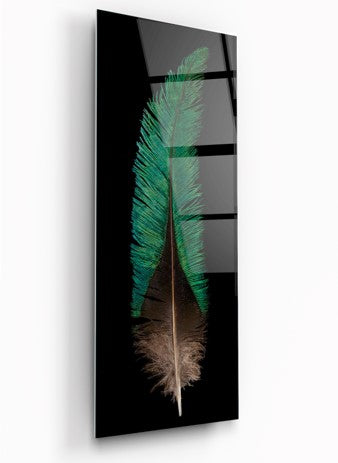 Green Feather Glass Wall Art