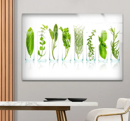 Green Spices Glass Wall Art - LUXARTDECO