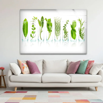 Green Spices Glass Wall Art - LUXARTDECO