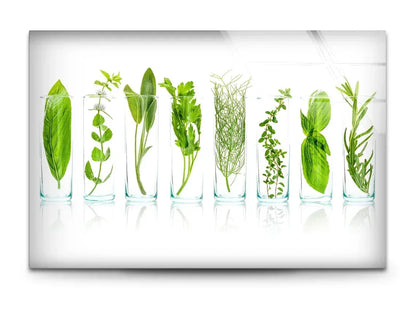 Green Spices Glass Wall Art - LUXARTDECO