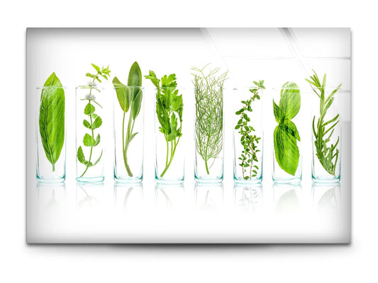 Green Spices Glass Wall Art