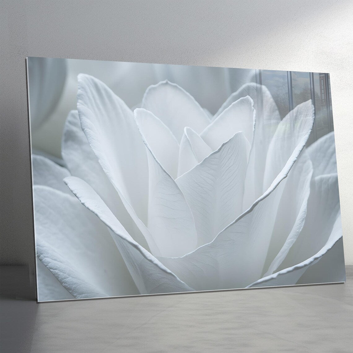 White Rose Glass Wall Art