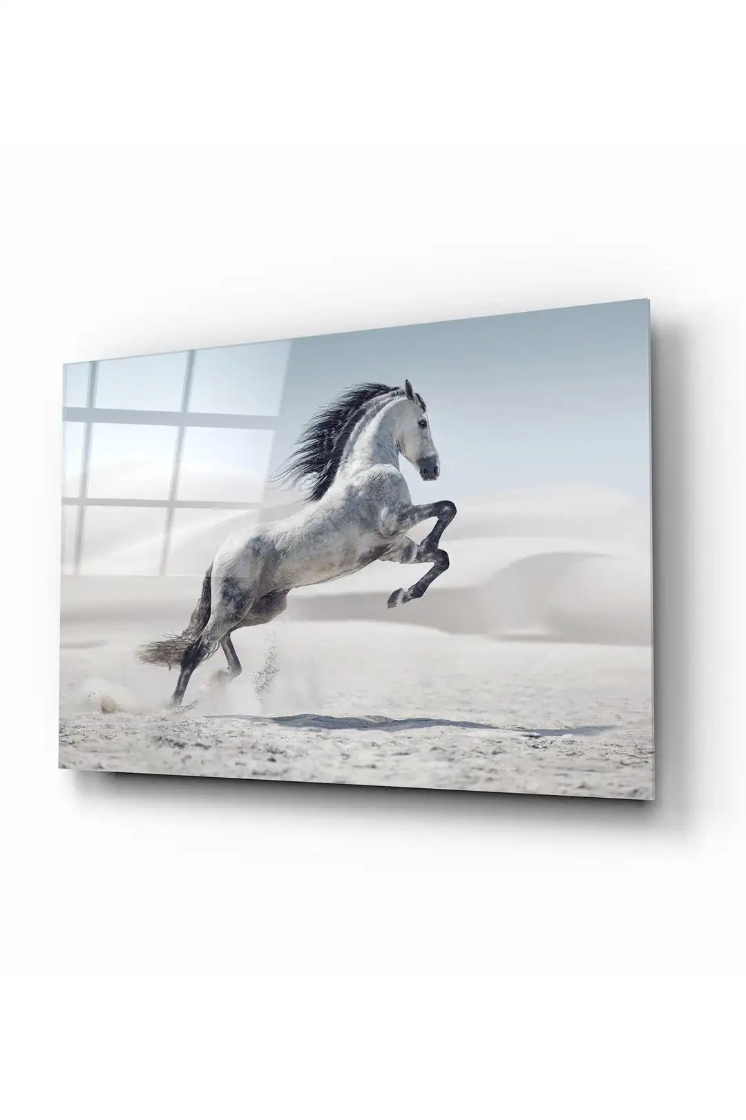 White Horse Glass Wall Art