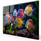 Discus Fish Glass Wall Art - LUXARTDECO
