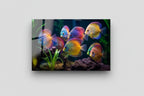 Discus Fish Glass Wall Art - LUXARTDECO