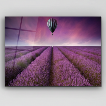 Campo di Lavanda Quadro in Vetro Temperato