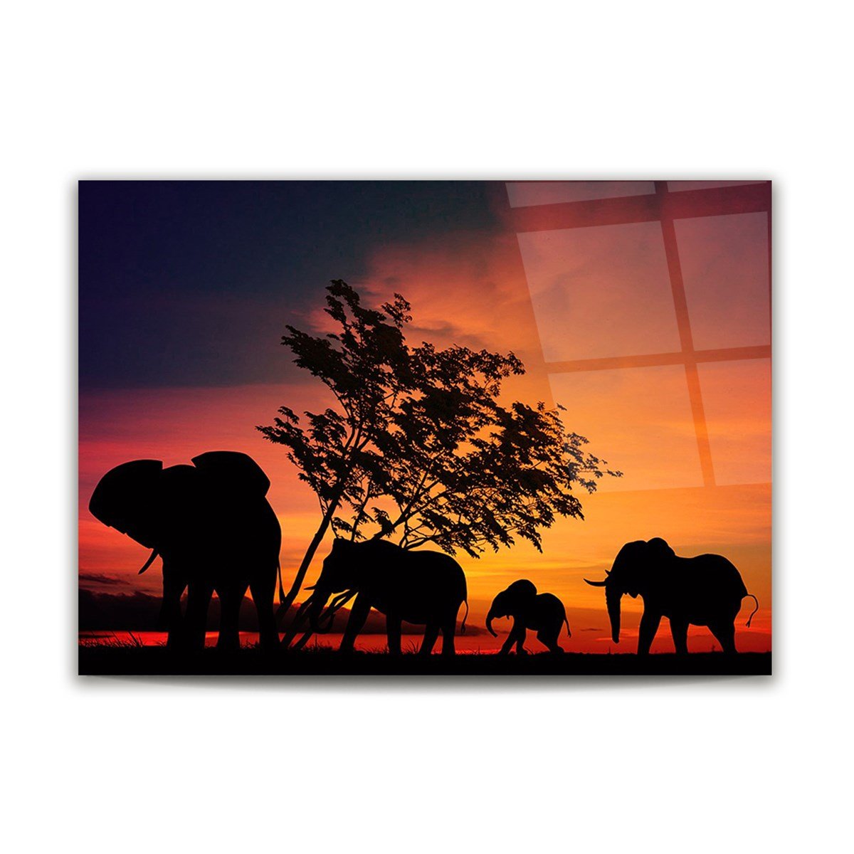Elephant Family Glass Wall Art