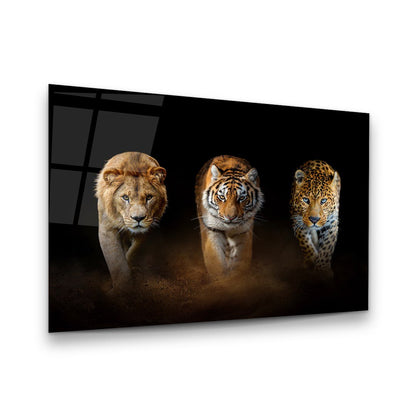 Wild Cats Trio Glass Wall Art