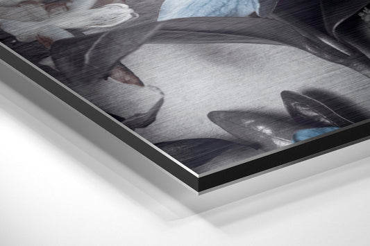 Brushed Aluminium Dibond Wall Art