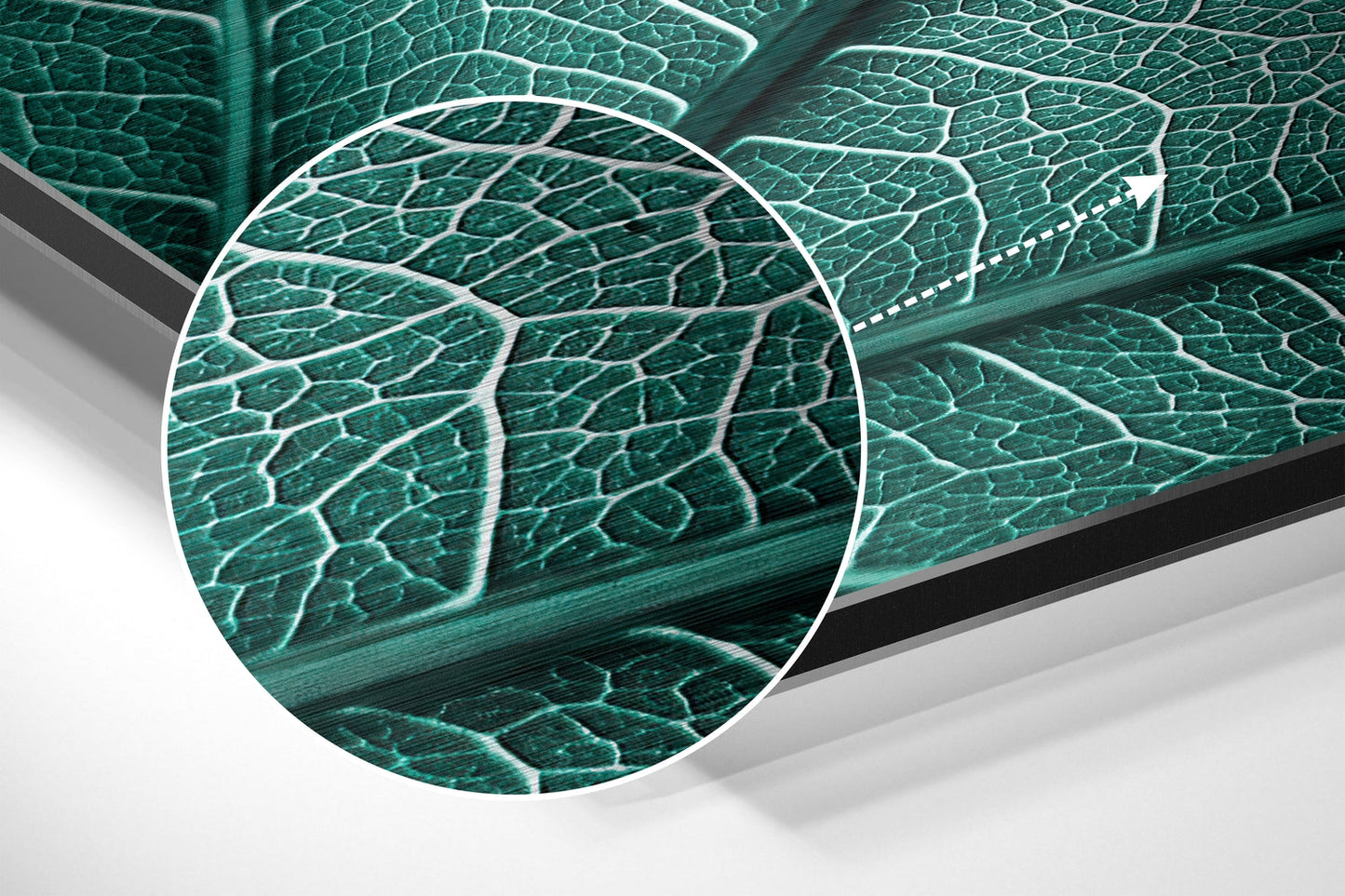 Brushed Aluminium Dibond Wall Art