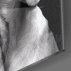 Innocent Dog Glass Wall Art - LUXARTDECO