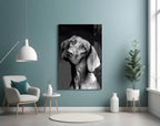 Innocent Dog Glass Wall Art - LUXARTDECO