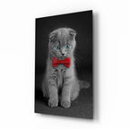 Cat Glass Wall Art - LUXARTDECO