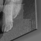 Cat Glass Wall Art - LUXARTDECO