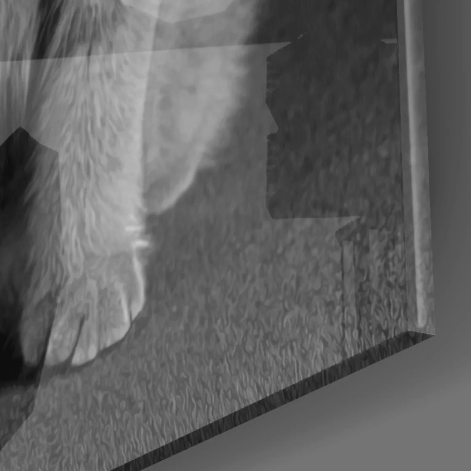 Cat Glass Wall Art - LUXARTDECO