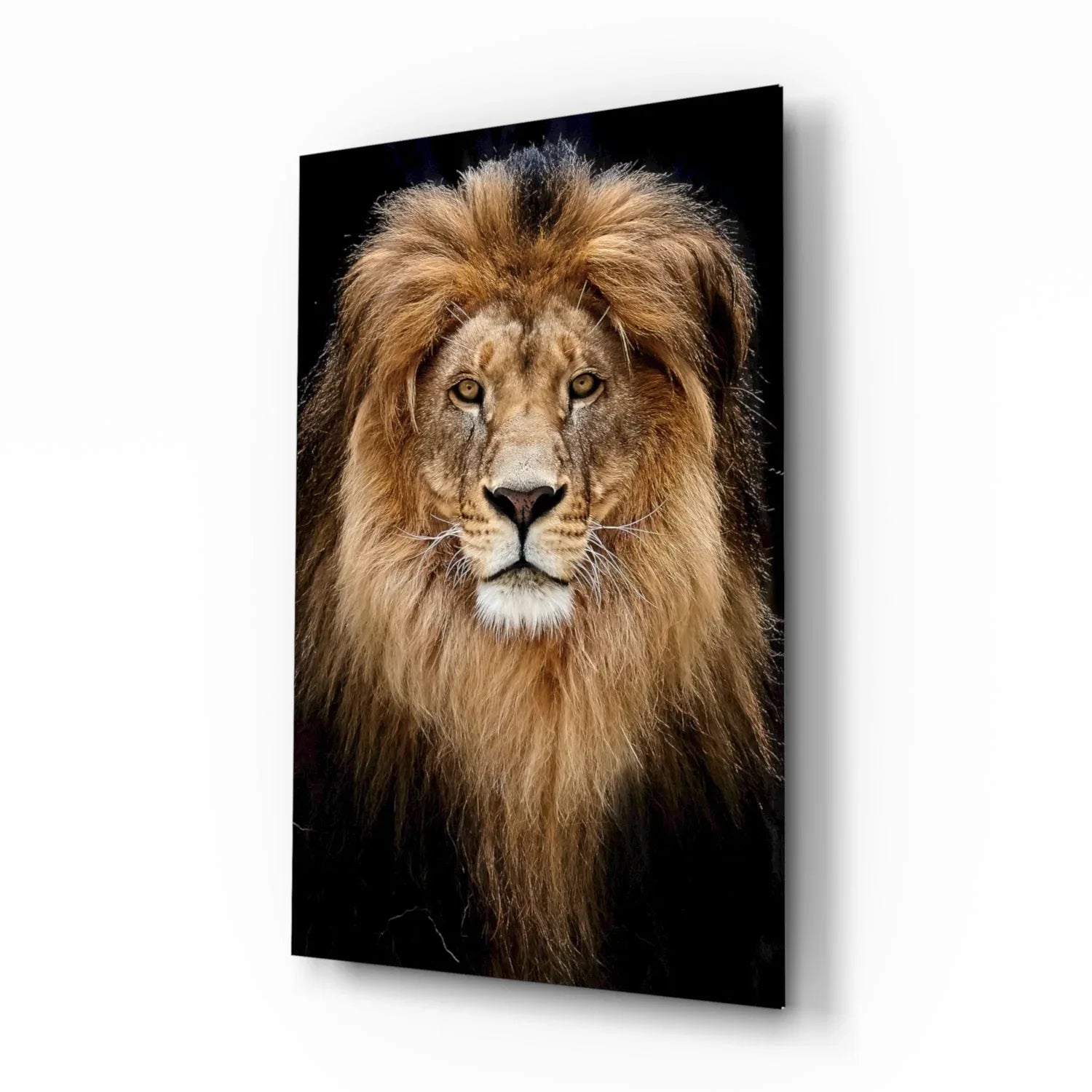 Lion Glass Wall Art - LUXARTDECO
