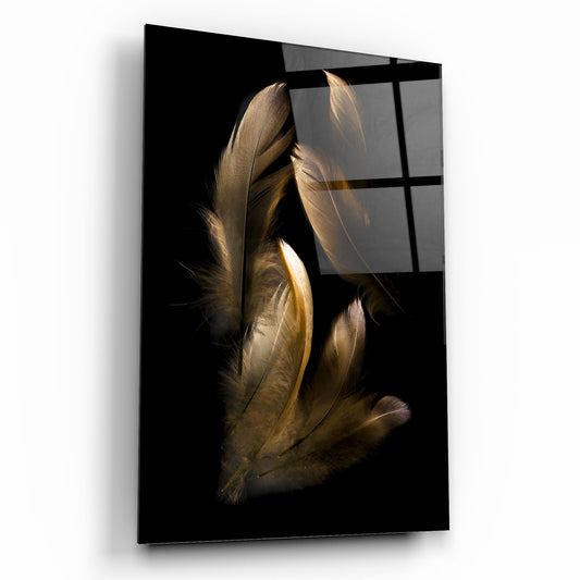 Feather Glass Wall Art