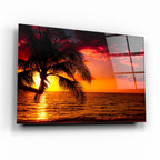 Tableau mural en verre Sunset Palm