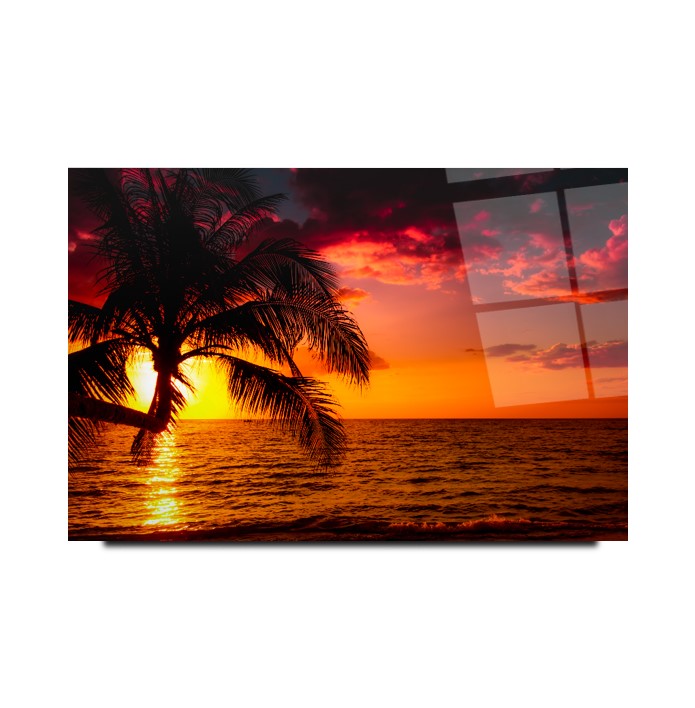 Tableau mural en verre Sunset Palm