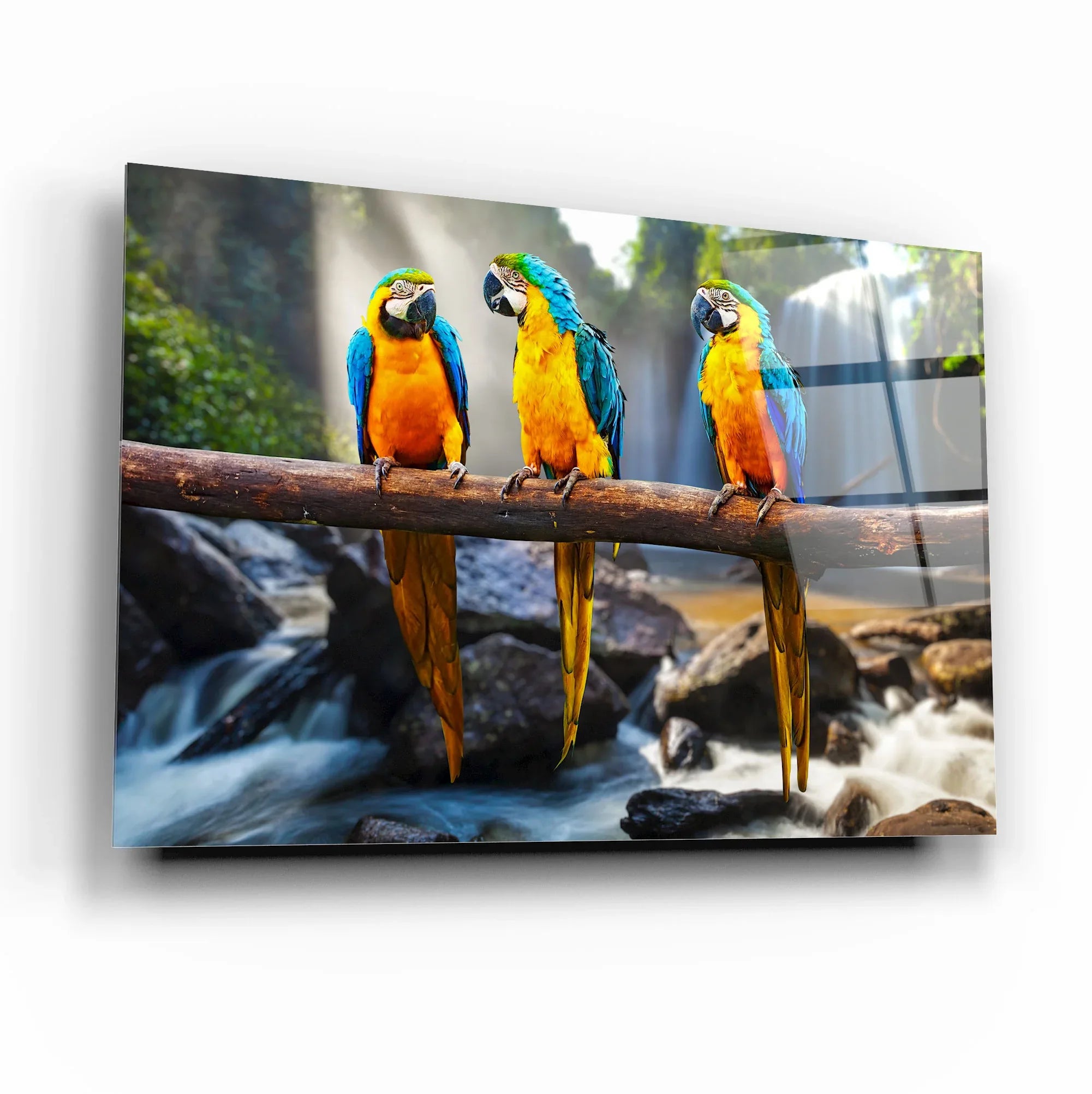 Three Parrots Glass Wall Art - LUXARTDECO