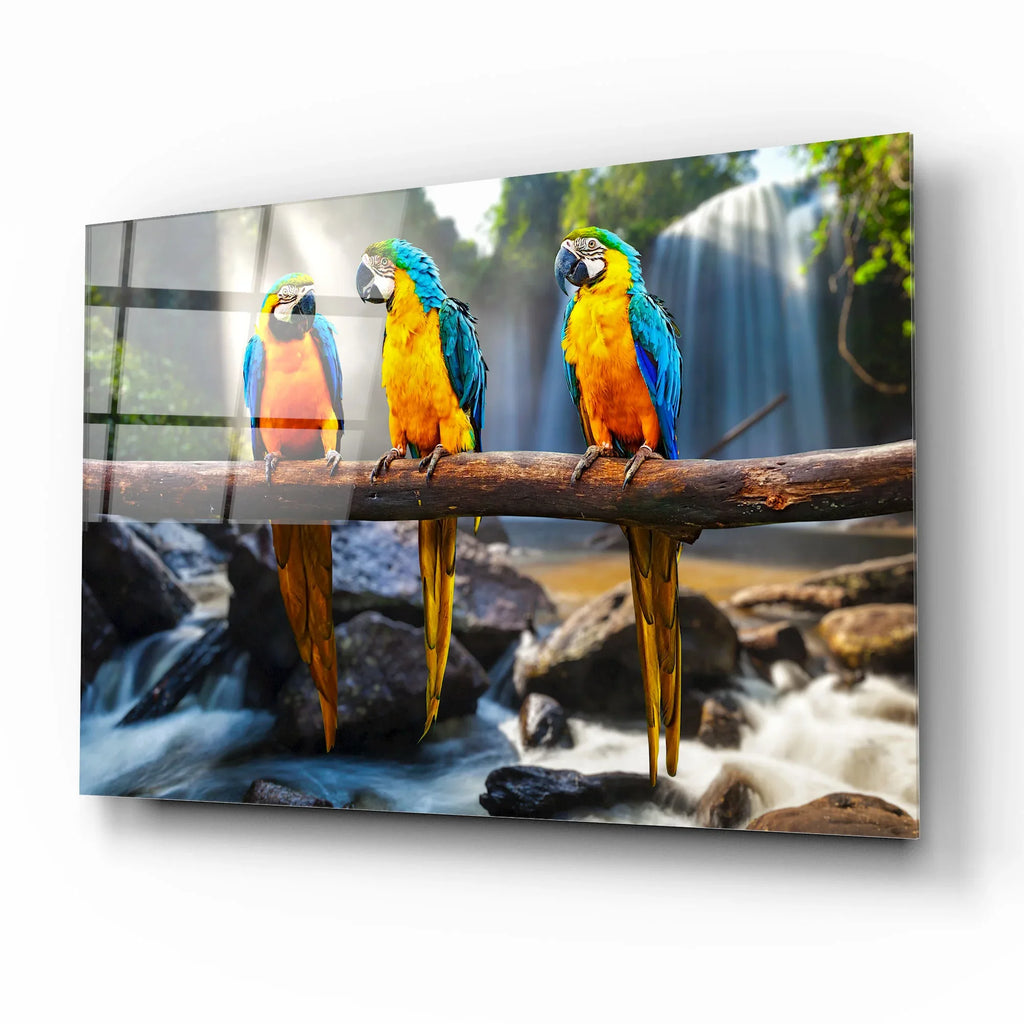 Three Parrots Glass Wall Art - LUXARTDECO
