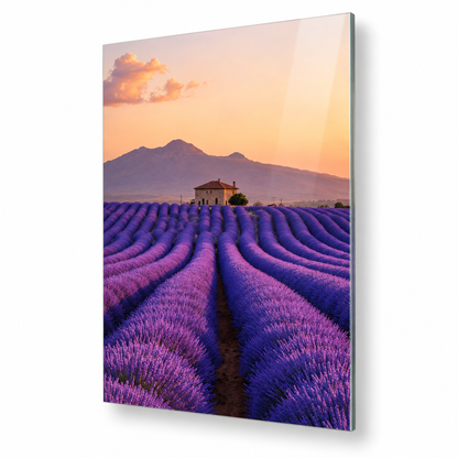 Provence lavender field glass wall art, right angle view with shadow