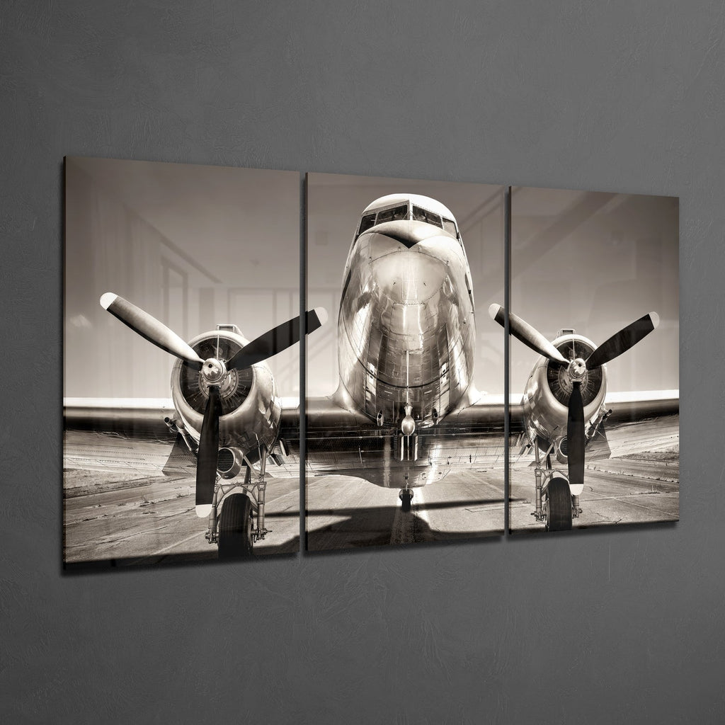 Plane Mega Glass Wall Art