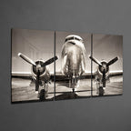 Plane Mega Glass Wall Art