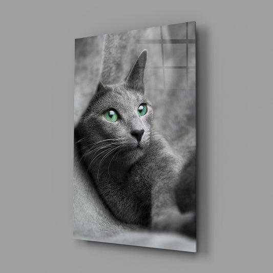 Cat Glass Wall Art
