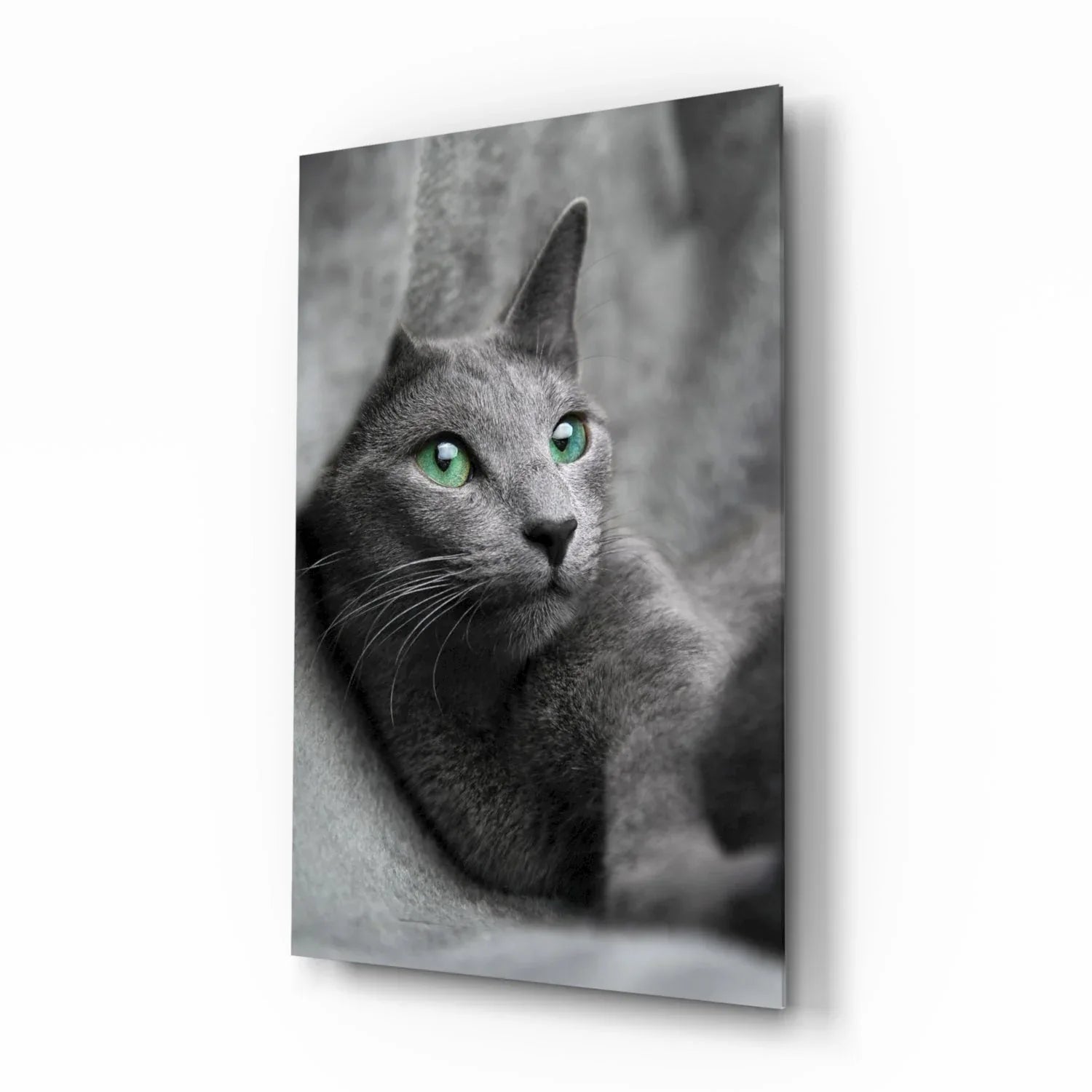 Cat Glass Wall Art - LUXARTDECO
