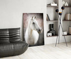 Horse Glass Wall Art - LUXARTDECO
